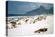 1957: Copacabana Beach, Rio De Janeiro, Brazil-Dmitri Kessel-Premier Image Canvas