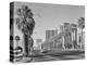 1960s Rows of Palm Trees Central Avenue Phoenix AZ-null-Premier Image Canvas