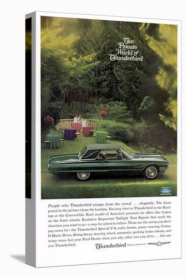 1964 Private World Thunderbird-null-Stretched Canvas