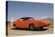 1969 Dodge Charger Daytona 440-S. Clay-Premier Image Canvas