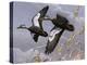 1982-1983 Black Ducks-Wilhelm Goebel-Premier Image Canvas