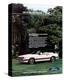 1983 Mustang More Convertible-null-Stretched Canvas
