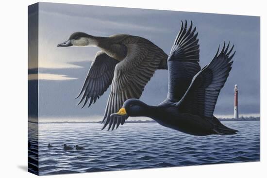 1990 Black Scoters-Wilhelm Goebel-Premier Image Canvas