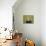 19COF-Pierre Henri Matisse-Premier Image Canvas displayed on a wall
