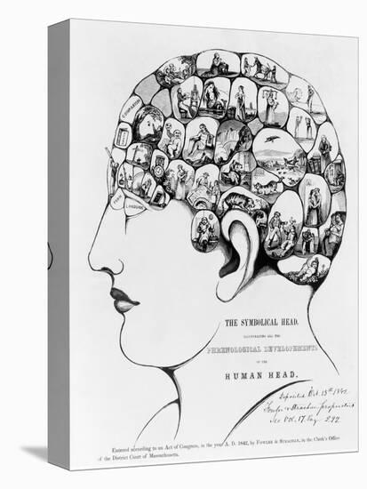 19th-century Phrenology-Library of Congress-Premier Image Canvas