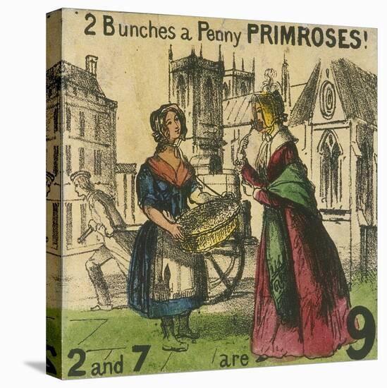 2 Bunches a Penny Primroses!, Cries of London, C1840-TH Jones-Premier Image Canvas