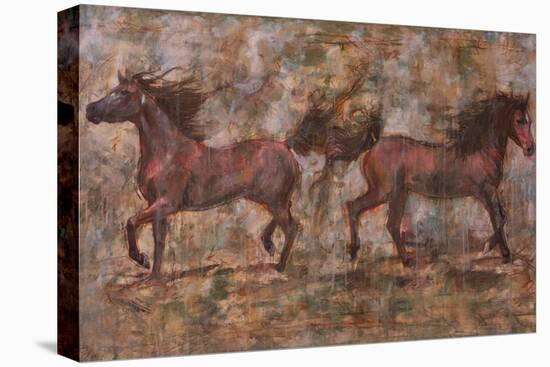 2 Horses-Marta Gottfried-Premier Image Canvas