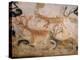 20,000 Year Old Lascaux Cave Painting Done by Cro-Magnon Man in the Dordogne Region, France-Ralph Morse-Premier Image Canvas