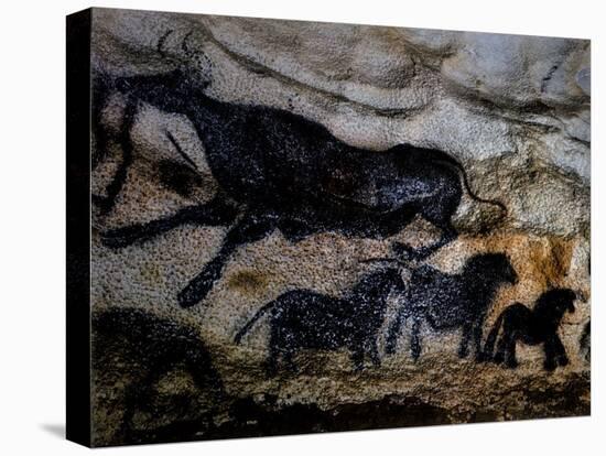 20,000 Year Old Lascaux Cave Painting Done by Cro-Magnon Man in the Dordogne Region, France-Ralph Morse-Premier Image Canvas