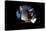 2001: A Space Odyssey, Keir Dullea as Seen Through Hal, 1968-null-Stretched Canvas