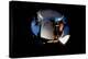 2001: A Space Odyssey, Keir Dullea as Seen Through Hal, 1968-null-Stretched Canvas