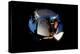 2001: A Space Odyssey, Keir Dullea as Seen Through Hal, 1968-null-Stretched Canvas