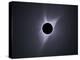 2017 Total Solar Eclipse-null-Premier Image Canvas