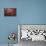 25 Days Til'Christmas 036-LightBoxJournal-Premier Image Canvas displayed on a wall