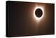 262 Eclipse 2017 (2)-Gordon Semmens-Premier Image Canvas