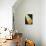 26CO-Pierre Henri Matisse-Premier Image Canvas displayed on a wall