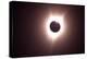 274 Eclipse 2017-Gordon Semmens-Premier Image Canvas