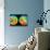 3-D Topography of Mars-null-Premier Image Canvas displayed on a wall