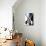 30CO-Pierre Henri Matisse-Premier Image Canvas displayed on a wall