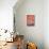 31COF-Pierre Henri Matisse-Premier Image Canvas displayed on a wall