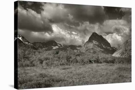 334-Glacier-2016-B&W-Gordon Semmens-Stretched Canvas