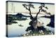 36 Views of Mount Fuji, no. 17: Lake Suwa in the Shinano Province-Katsushika Hokusai-Premier Image Canvas