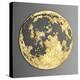 3D Wall Art Picture Modern Moon Gold-deckorator-Stretched Canvas