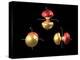 3p Electron Orbitals-Dr. Mark J.-Premier Image Canvas