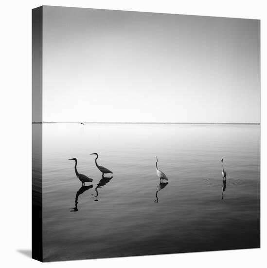 4 Herons-Moises Levy-Premier Image Canvas