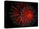 4th of July Fireworks-Magrath Photography-Premier Image Canvas