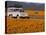 4X4 in Meadow of Daisies, South Africa-Theo Allofs-Premier Image Canvas