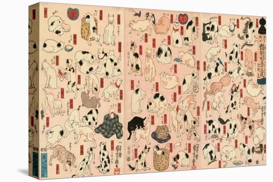 55 Cats Representing the Fifty-Three Stations of the Tokaido-Kuniyoshi Utagawa-Premier Image Canvas