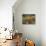 581-Lisa Fertig-Stretched Canvas displayed on a wall