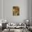 595-Lisa Fertig-Stretched Canvas displayed on a wall