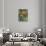 598-Lisa Fertig-Stretched Canvas displayed on a wall