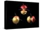 5p Electron Orbitals-Dr. Mark J.-Premier Image Canvas