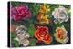 6 Flowers-Howie Green-Premier Image Canvas