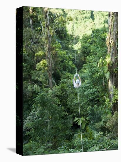600 Metre Zip Line at the Top of the Sky Tram at Arenal Volcano, Costa Rica, Central America-R H Productions-Premier Image Canvas