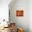 62CO-Pierre Henri Matisse-Premier Image Canvas displayed on a wall