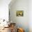 65CO-Pierre Henri Matisse-Premier Image Canvas displayed on a wall
