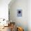 68CO-Pierre Henri Matisse-Premier Image Canvas displayed on a wall