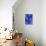 69CO-Pierre Henri Matisse-Premier Image Canvas displayed on a wall