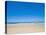 75 Mile Beach with White Sand and Blue Skies, Fraser Island, UNESCO World Heritage Site, Australia-Matthew Williams-Ellis-Premier Image Canvas
