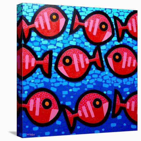 9 Happy Fish-John Nolan-Premier Image Canvas