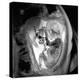 9 Month Foetus, MRI Scan-Du Cane Medical-Premier Image Canvas