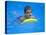 9 Year Old Boy Swimming in Pool, Kiamesha Lake, New York, USA-Paul Sutton-Premier Image Canvas