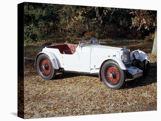 A 1933 Aston Martin Le Mans Car-null-Premier Image Canvas