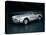 A 1963 Chevrolet Corvette-null-Premier Image Canvas