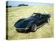 A 1969 Chevrolet Corvette Stingray in a Field-null-Premier Image Canvas