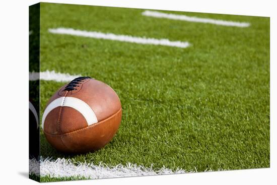 A American Football on a Green Football Field-flippo-Premier Image Canvas